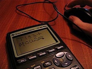 mouse.jpg